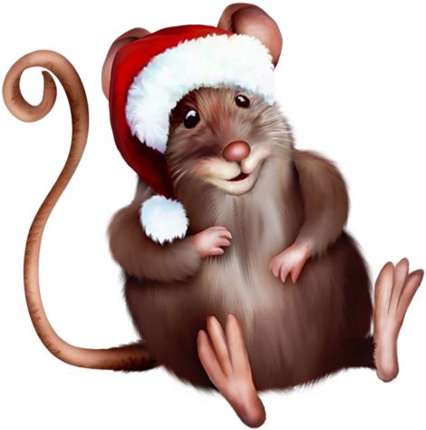 Royalty Free Underwear Stock Humor Designs - Mouse With Santa Hat (500x488), Png Download