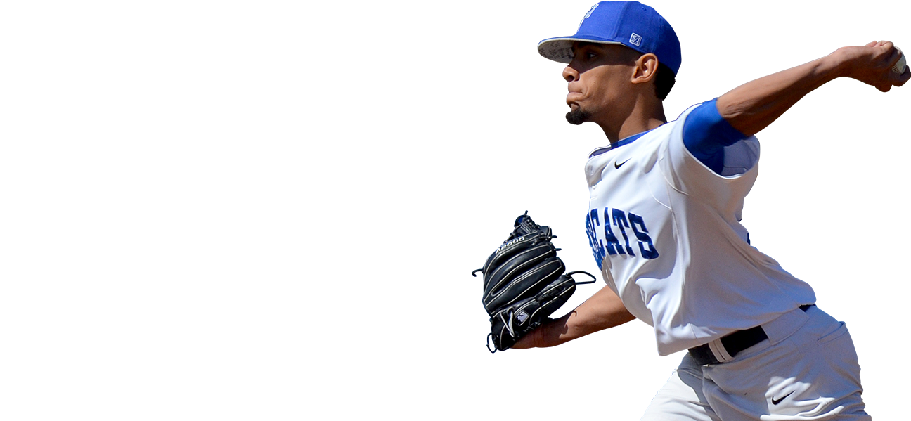 Bobcat (1416x600), Png Download