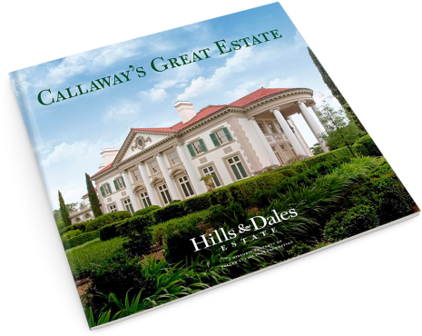 A 42 Page Book With Over 90 Images From The Estate - Flyer (484x400), Png Download