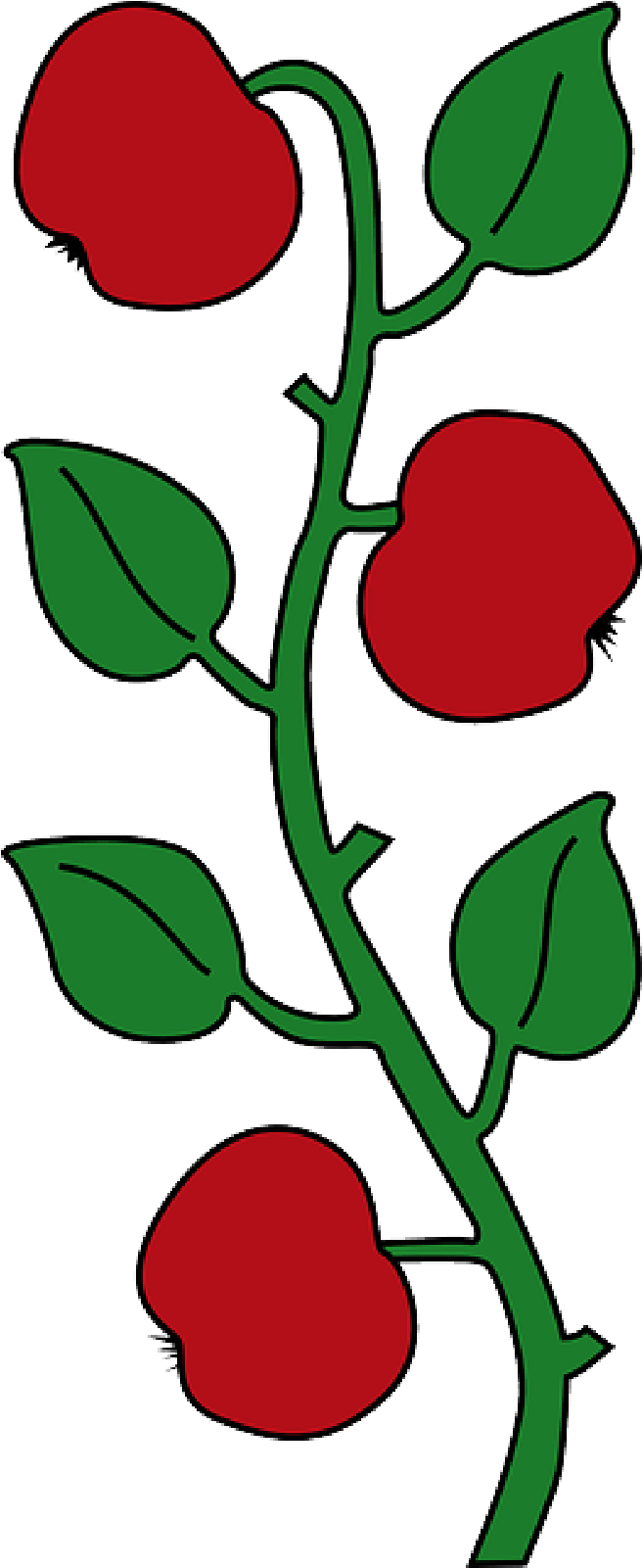 Mb Image/png - Affoltern Am Albis (800x1600), Png Download