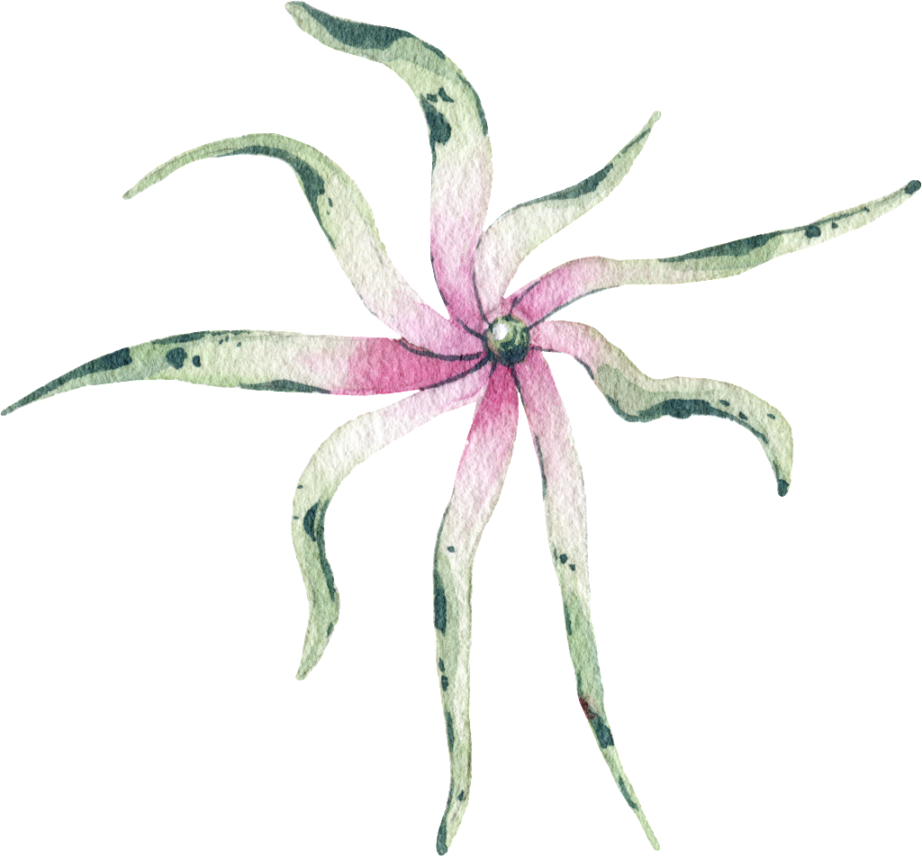 Green Watercolor Hand Painted Plant Transparent - Design (1024x951), Png Download