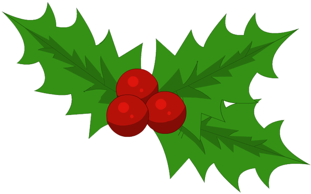 Holly - Belga Cycling (1100x695), Png Download