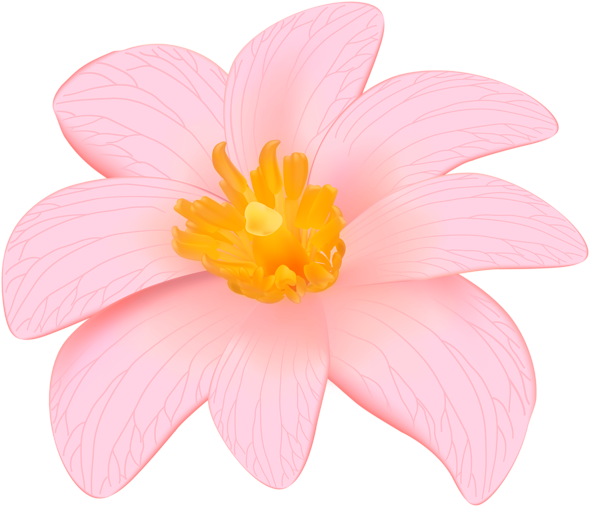 Exotic Pink Flower Clip Art Png Image Flower Designes - Flowers Png Pink (600x515), Png Download