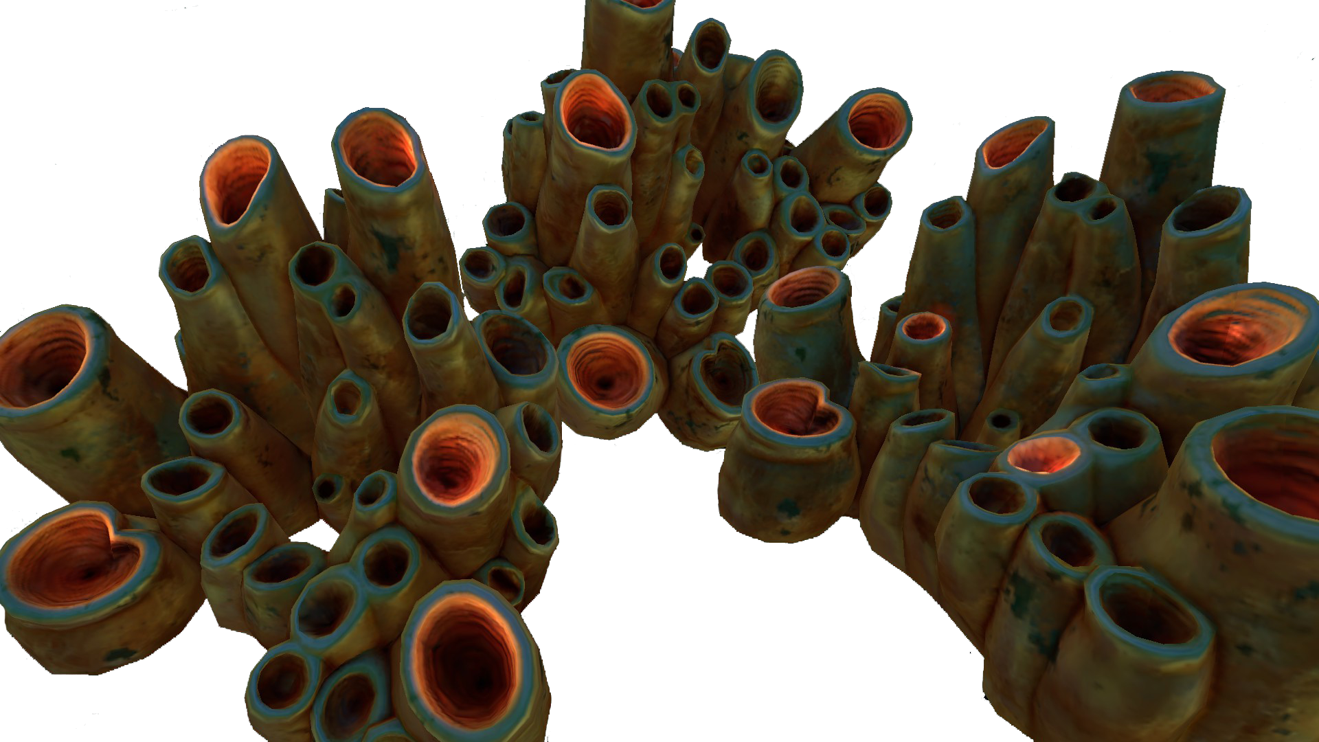 Brown Coral Tubes Fauna - Coral Png (1920x1080), Png Download