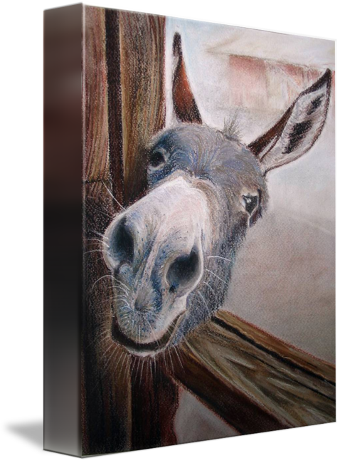 "how Do You Do" By Olga Gorbacheva, Nizhny Novgorod, - Donkey Saying Good Night (478x650), Png Download