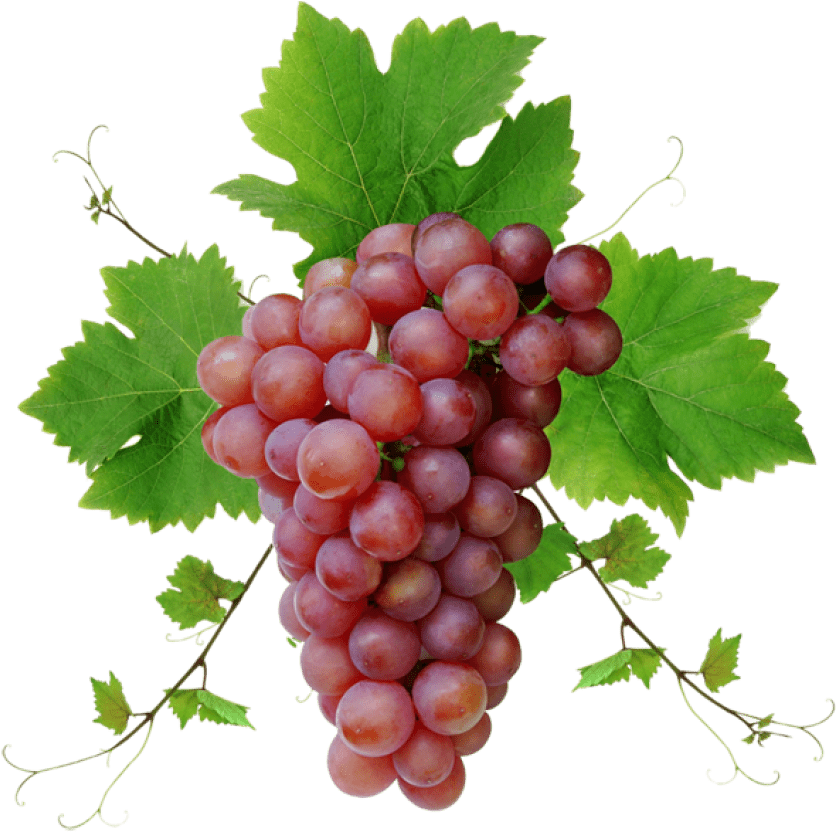 Free Png Grapes Png Images Transparent - Red Grapes Png (850x848), Png Download