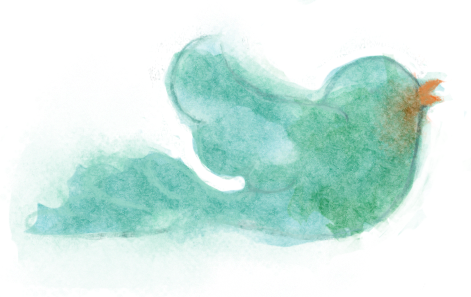 How Roger Williams Saved America's Soul - Twitter (471x297), Png Download