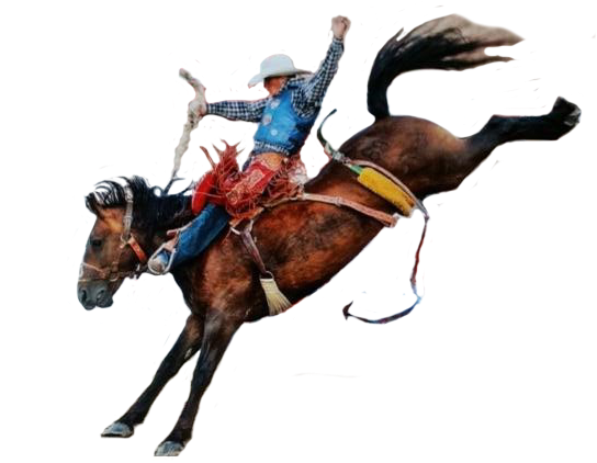 Cowboy Png - Horse And Cowboy Png (585x444), Png Download