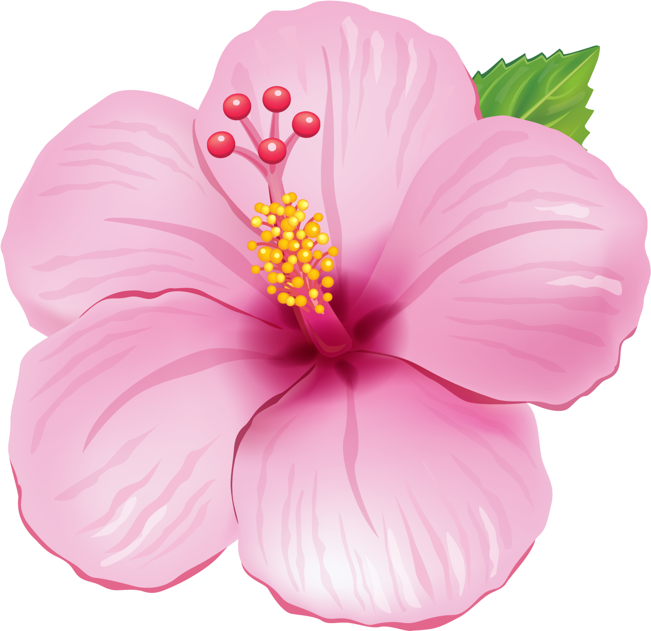 Cafepress Pink Hibiscus Tile Coaster (1385x1348), Png Download