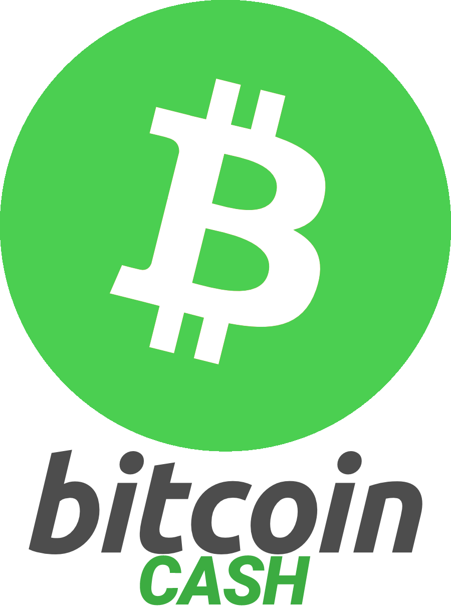 Bitcoin Cash Logo - Ultimate Guide To Bitcoin (900x1213), Png Download