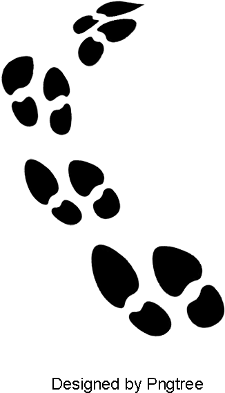 Black Footprints Vector Material, Black Vector, Footprints - Portable Network Graphics (800x800), Png Download
