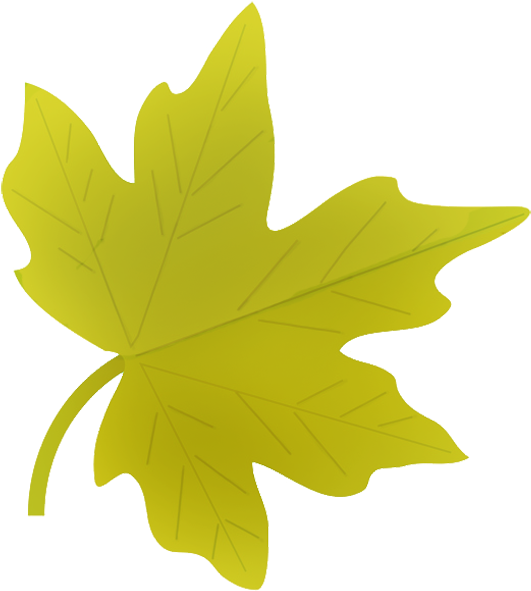 Drawn Leaves Autumn Leaf - Clipart Fall Leaves Png (587x620), Png Download