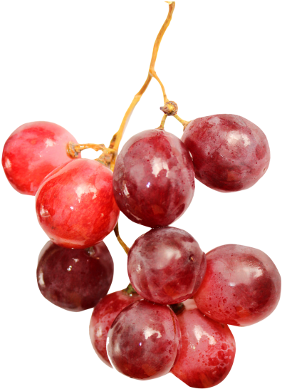 Download Red Grapes Png Image - Red Grapes Png (500x595), Png Download