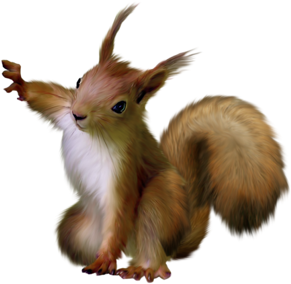 Squirrel Png (600x581), Png Download