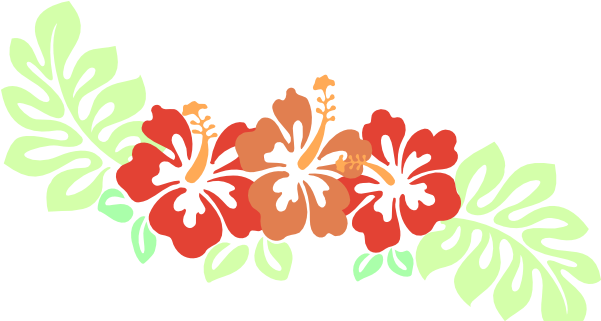 Small - Hibiscus Clipart Png (600x339), Png Download