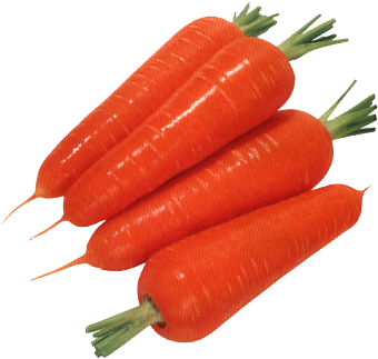 Carrot Transparent - Carrot (400x400), Png Download