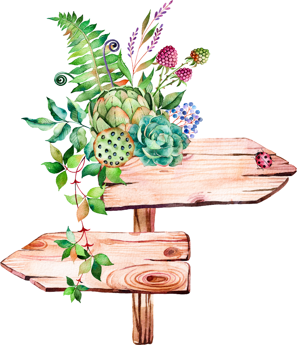 Leaves Leave Nature Watercolors Watercolor Watercolours - Watercolor Succulent Succulent Png (1024x1186), Png Download