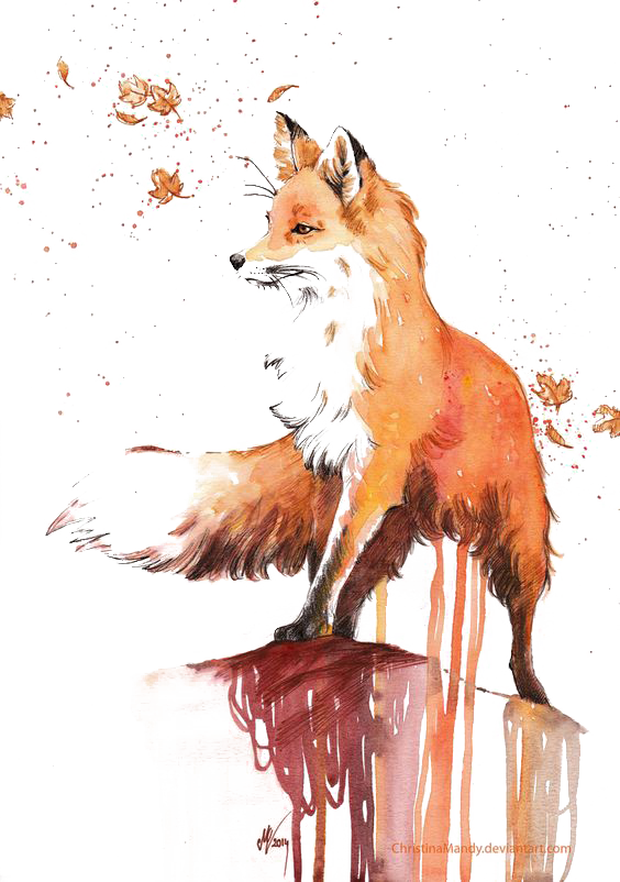 Watercolor Painting Red Fox Drawing - Fox Watercolor (564x802), Png Download