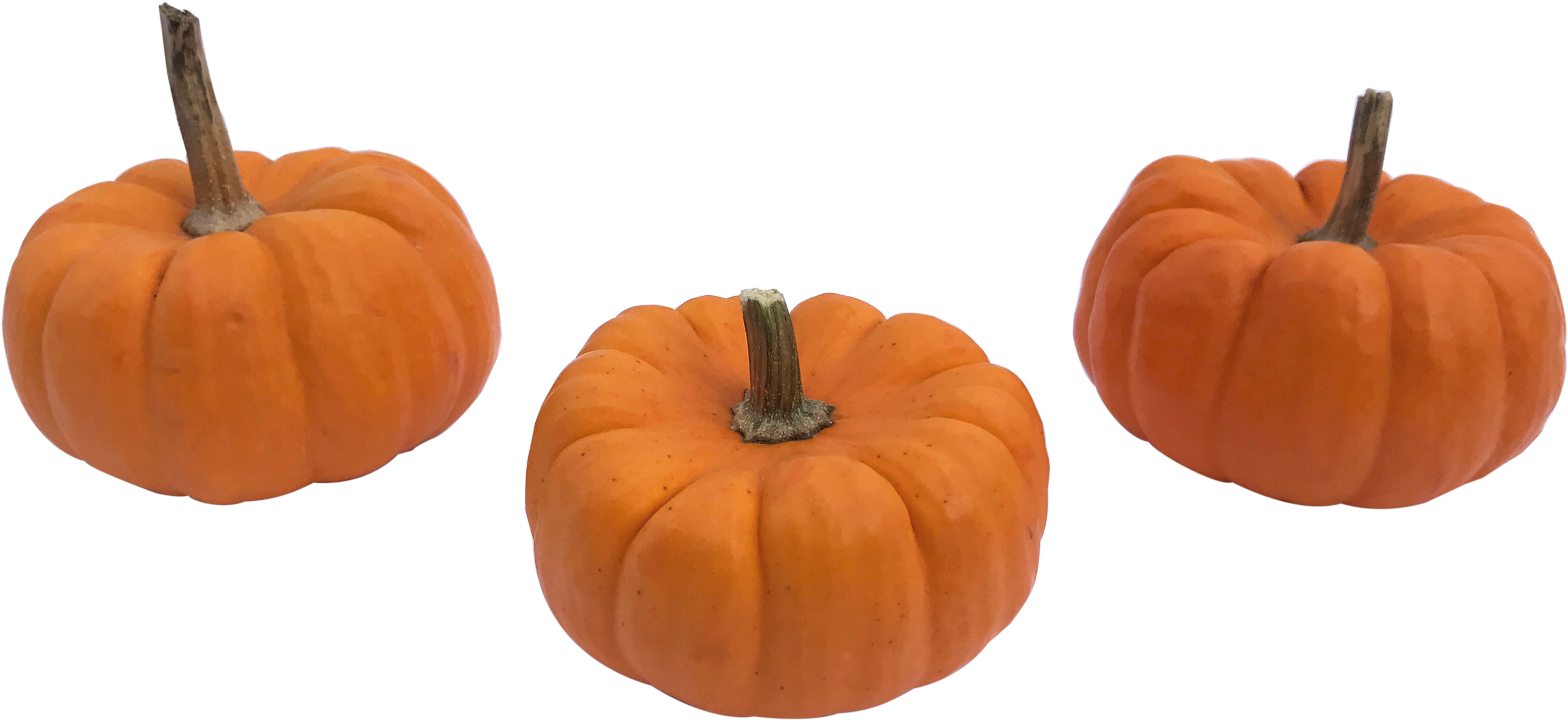 Pumpkins - Mini Pumpkin Png (4032x3024), Png Download