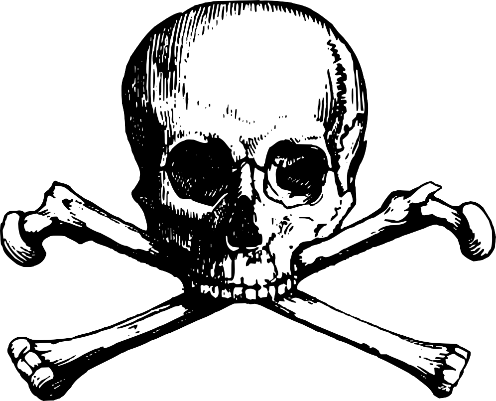 Dripping Vector Skull - Skull And Bones Png (996x805), Png Download