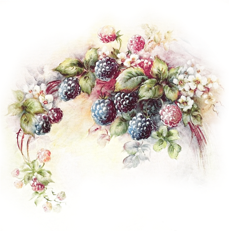 Find This Pin And More On Cores E Flores By Tcalto - Blackberries Painting (846x854), Png Download