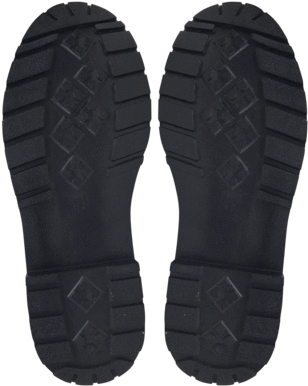 Women's Frida Kahlo Watercolor Violet Boots - Chinelo Havaianas Slim Preto (480x403), Png Download