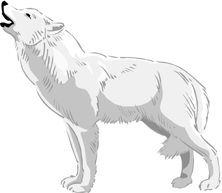 Graphic Free Free Wolf White - Clip Art White Wolf (750x652), Png Download