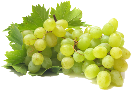 Green Grapes Png Picture - White Grapes Png (500x375), Png Download