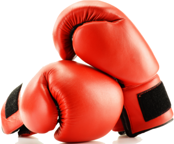 Boxing Gloves Png Image - Boxing Gloves .png (594x504), Png Download