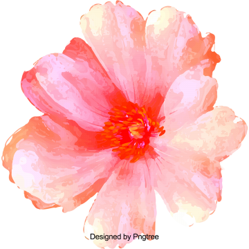 Cartoon Beautiful Hand Painted Water Color Flowers, - Water (360x360), Png Download