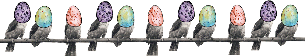 By Bernd Brunner - Egg (1000x400), Png Download