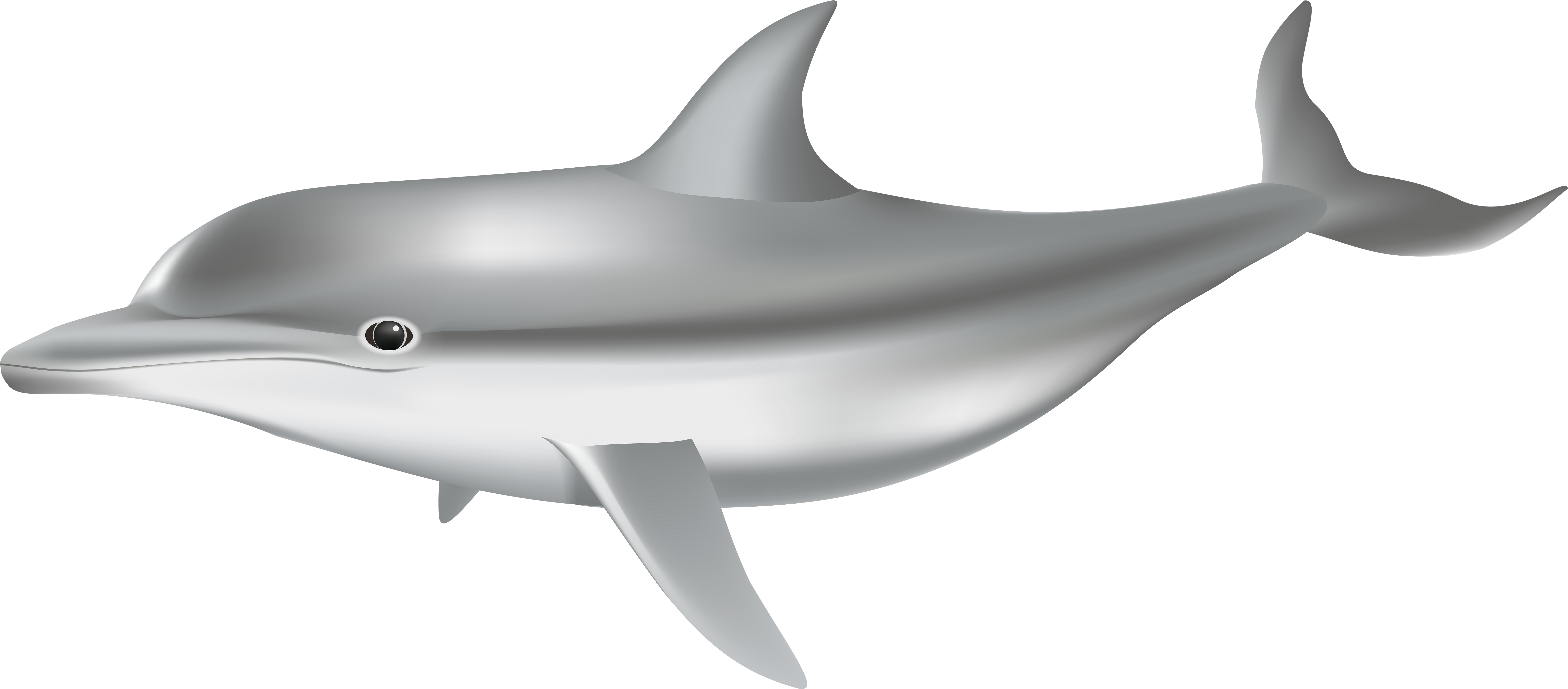 Clip Art (8000x3507), Png Download