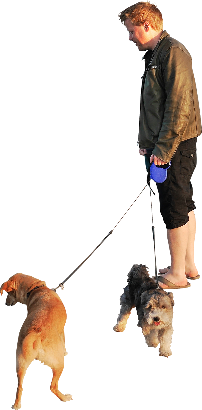 Woman Umbrella Walking Dog Silhouette Clipart - Dog Walking Png (689x1400), Png Download