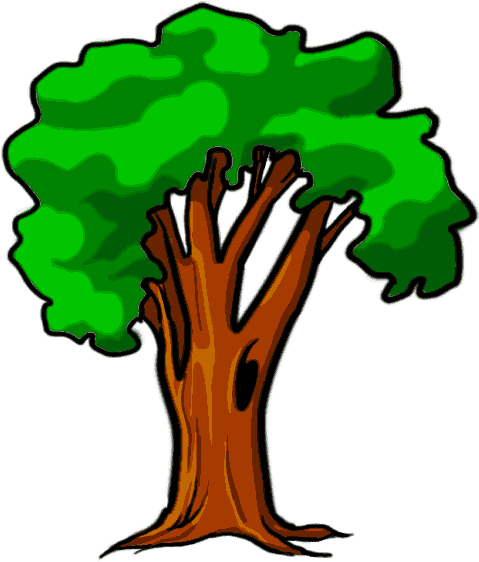Miss Wrights Wiki - Tree In Cartoon Png (600x600), Png Download