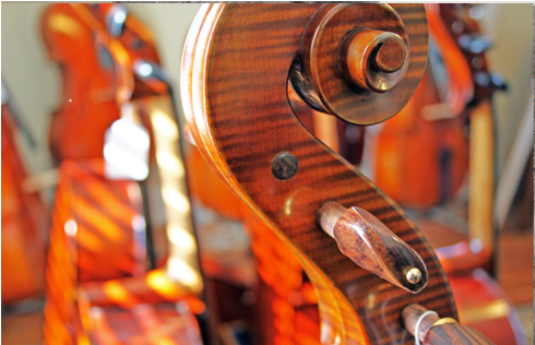 Cellin4 - Violin (560x383), Png Download