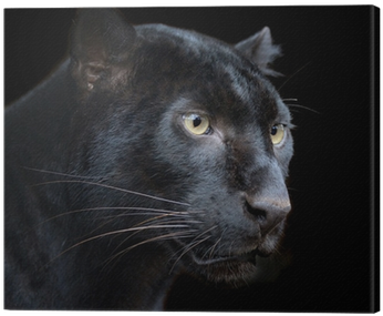 Bigotes De Pantera (400x400), Png Download