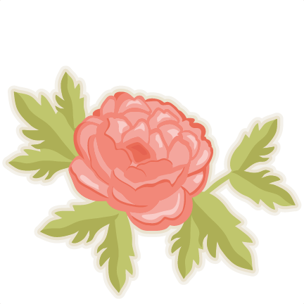 Peony - Peony Flower Clip Art (432x432), Png Download