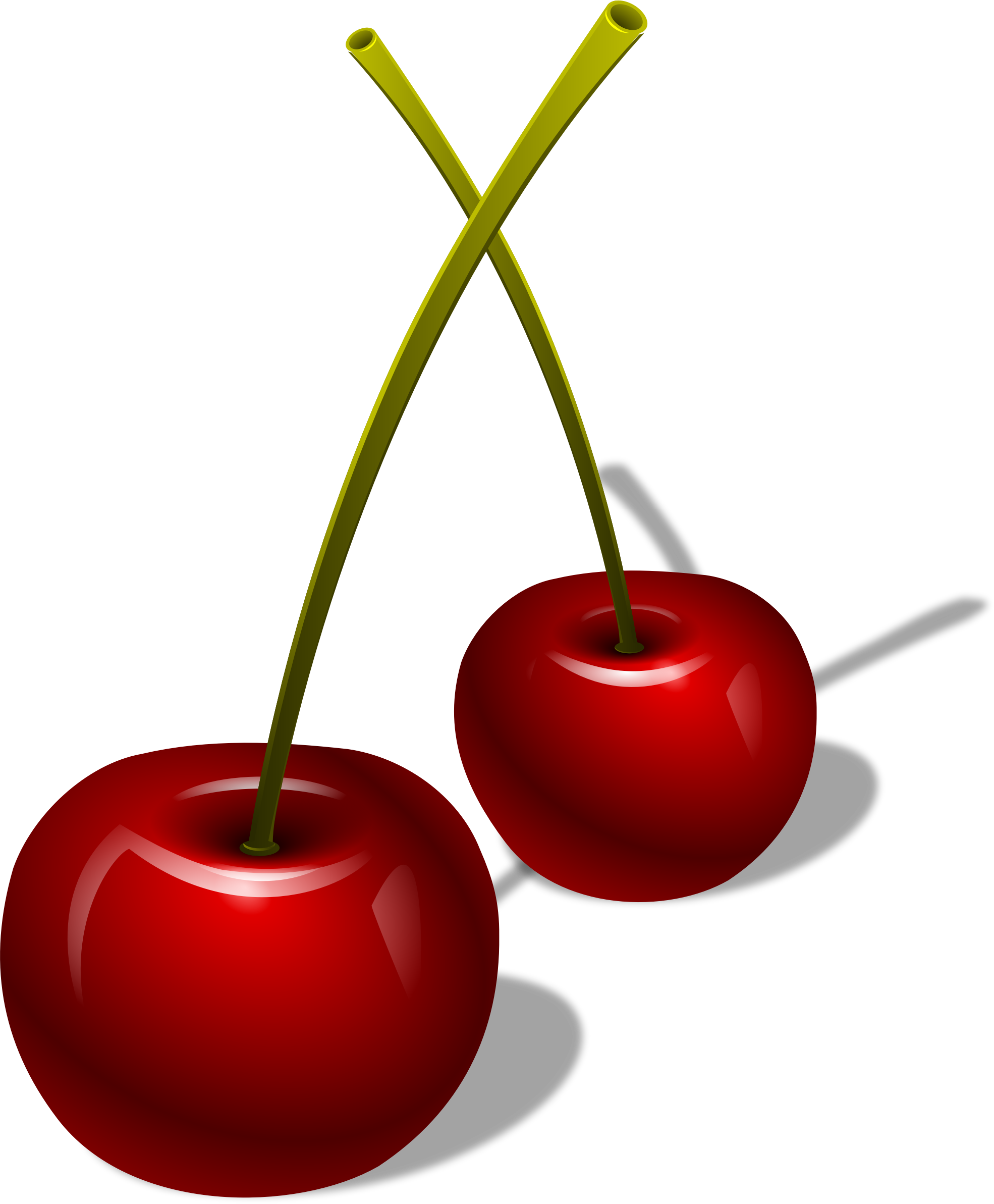 Collection Of Berry Png High Quality - Berries Clipart Png (1970x2385), Png Download
