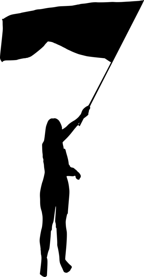 Free Png Person With Flag Silhouette Png Images Transparent - Transparent A Person With Flag (480x919), Png Download