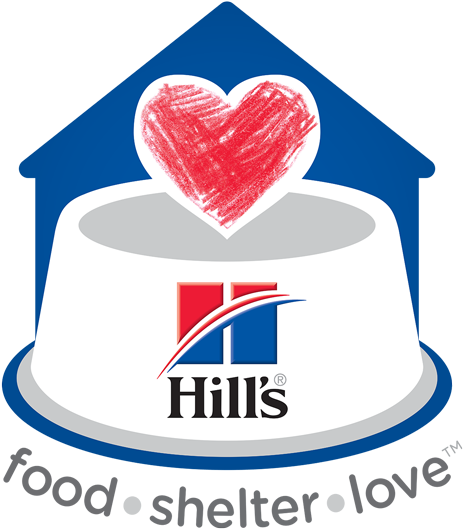 Learn More About The Program - Hills Science Diet Feline Adult Perfect Weight Dry (600x600), Png Download