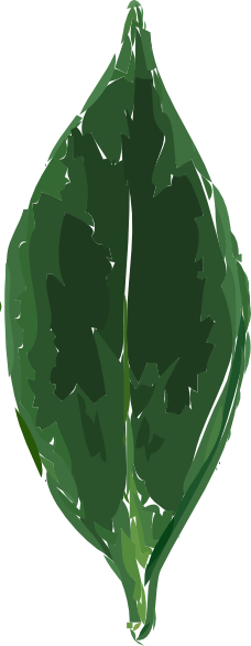 Banner Free Stock Leaf Clip Art At Clker Com Vector - Tea Leaf Clip Art (228x586), Png Download
