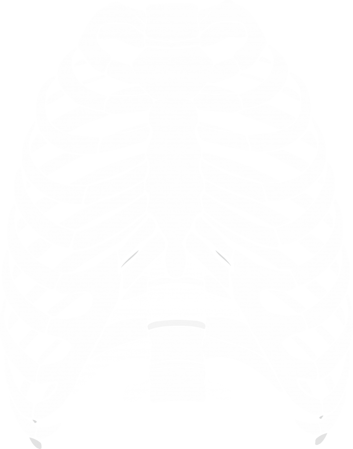 Rib-cage - Rib Cage (707x900), Png Download