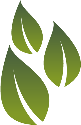 Tea, The Most Fashionable Tradition - Tea (500x500), Png Download