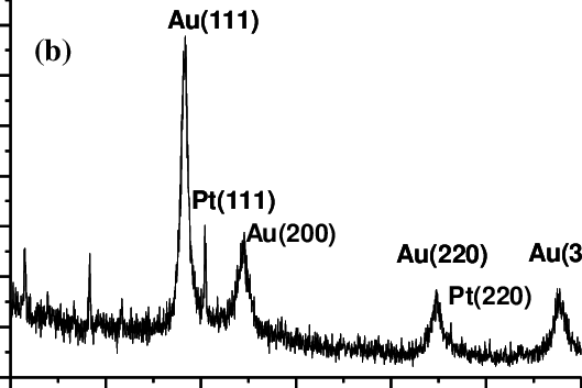 X-ray Diffraction Patterns Of Ptnps And (b) Aupt Sample - Tree (529x353), Png Download