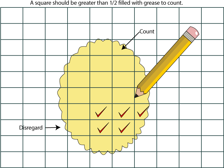 Potato Chip Diagram - Potato Chip (800x600), Png Download
