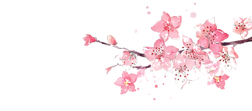 Flower Pink Watercolor Painting Illustration - Cherry Blossom Watercolor Png (999x749), Png Download