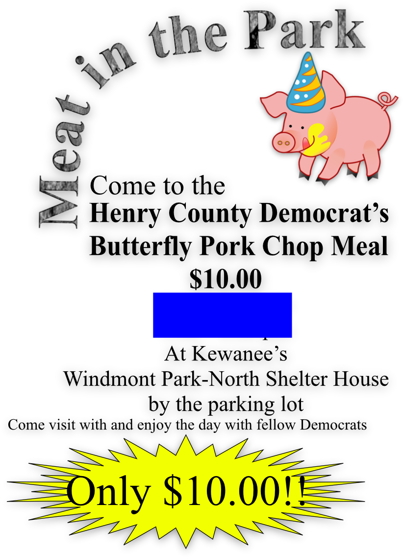 Henry County Democrats Upcoming Events 2018 Parades - Custom Cartoon Pig Throw Blanket (839x1185), Png Download
