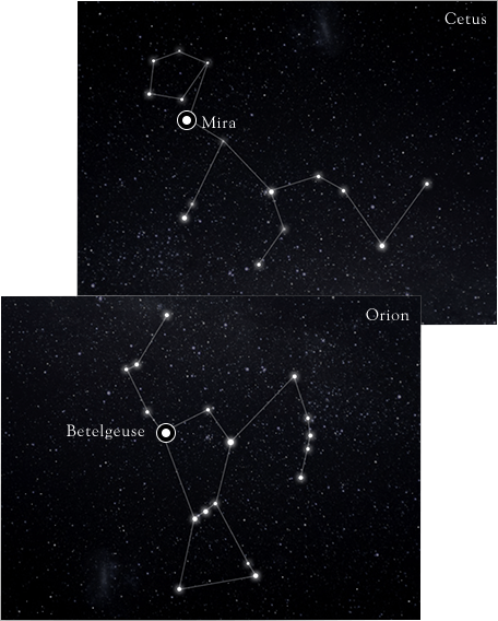 The Throbbing Of Each Pulsating Variable Star Is Unique - Star (456x568), Png Download