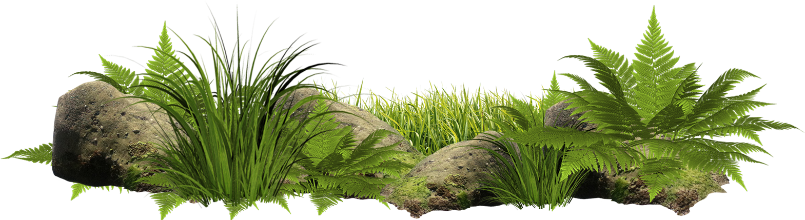 Plantas - .com (1668x435), Png Download