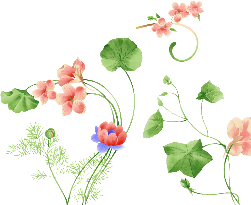 Este Gráficos É Png De Plantas Sobre Flores E No Ramo - Cute All Flowers Cartoon (1024x1024), Png Download